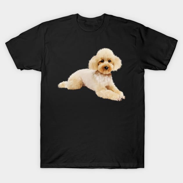 Cute Poodle dog, Love Poodles, Dog Lover T-Shirt by dukito